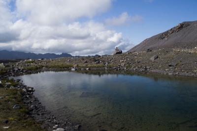 Прикрепленное изображение: DSC_0288.jpg